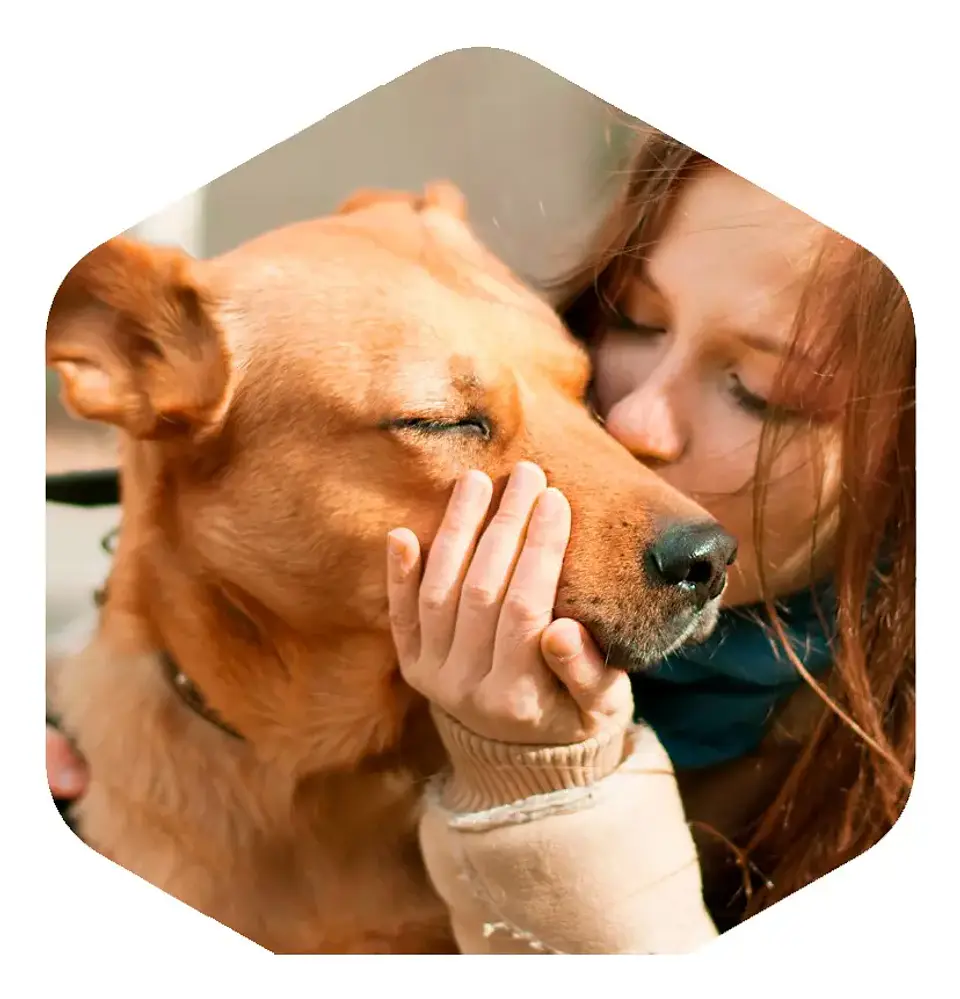 Amity Alimento Perro Adulto Sabor Pollo 14 kg 2