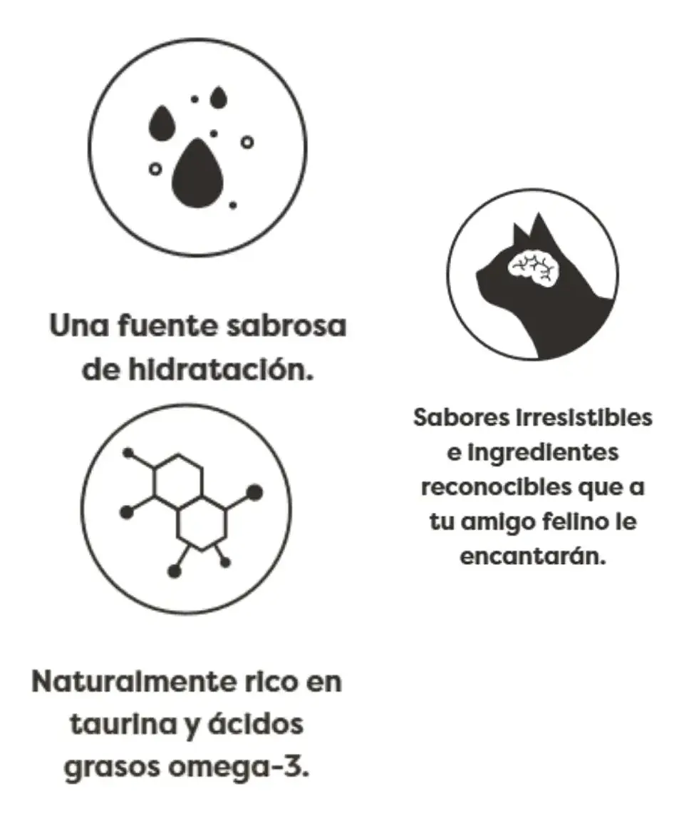 Applaws 6 Latas Alimento Sabor Pollo con Pato para Gatos 420 g 6