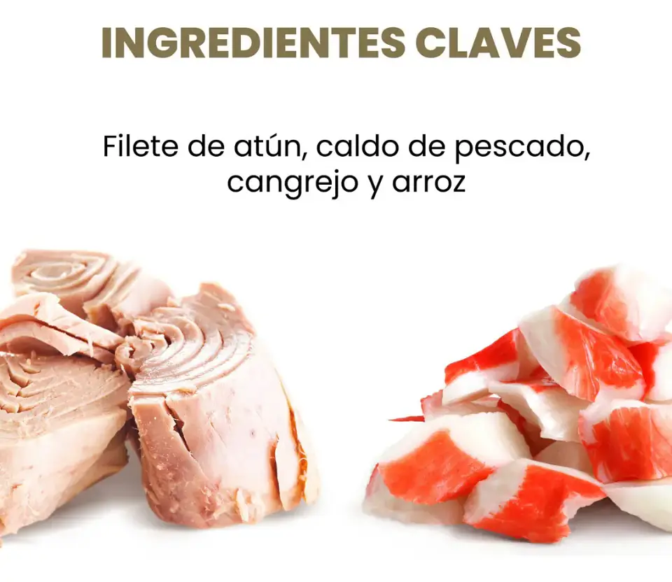 Applaws 6 Latas Alimento Gato Adulto Sabor Atún 240 g 4