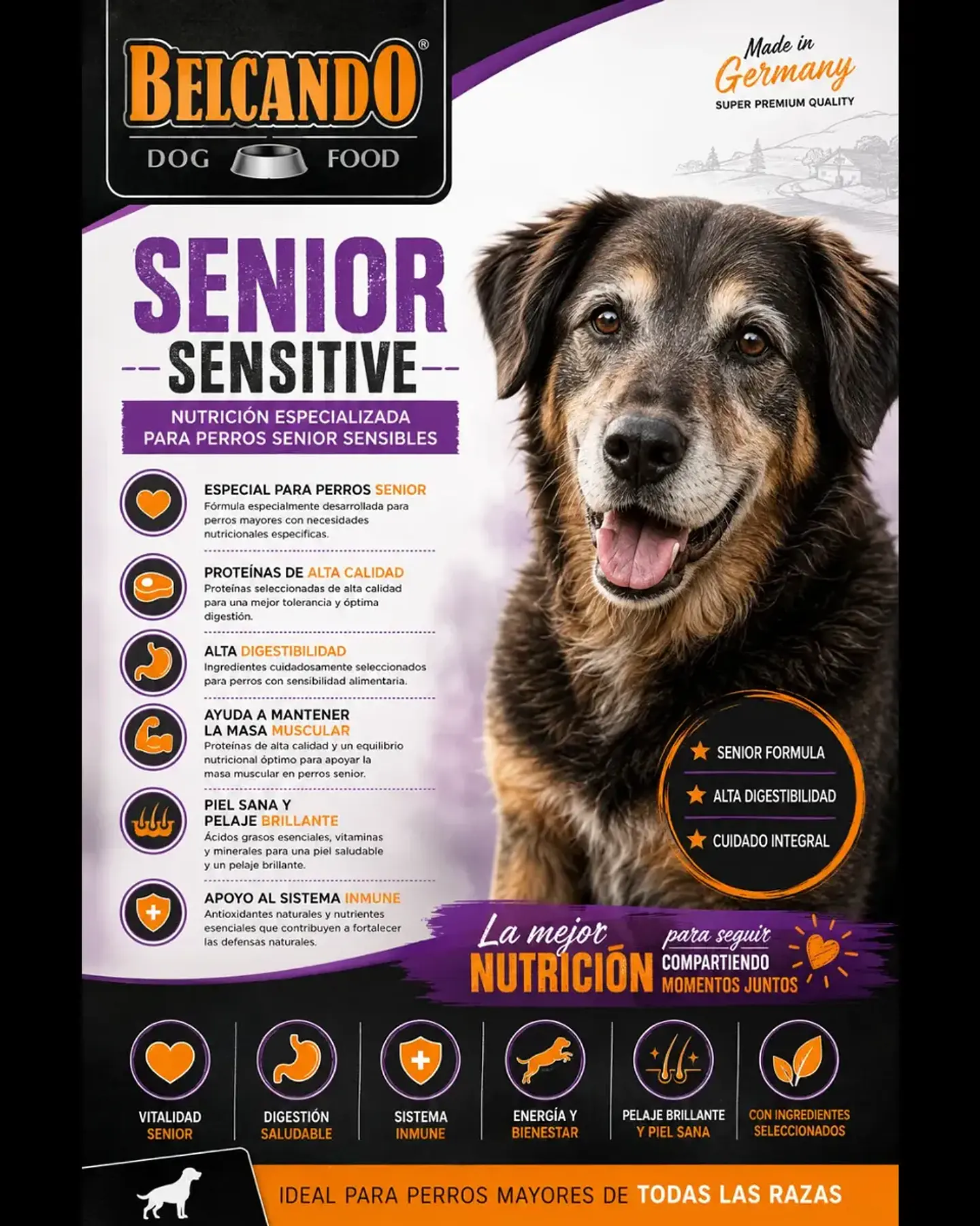 Belcando Alimento Perro Senior Sensitive 12.5 kg 2