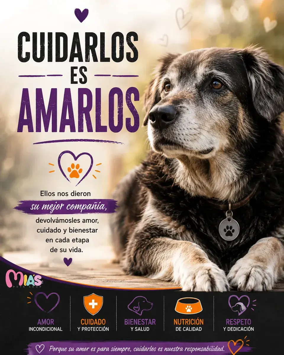 Belcando Alimento Para Perro Senior Sensitive 4 kg 4
