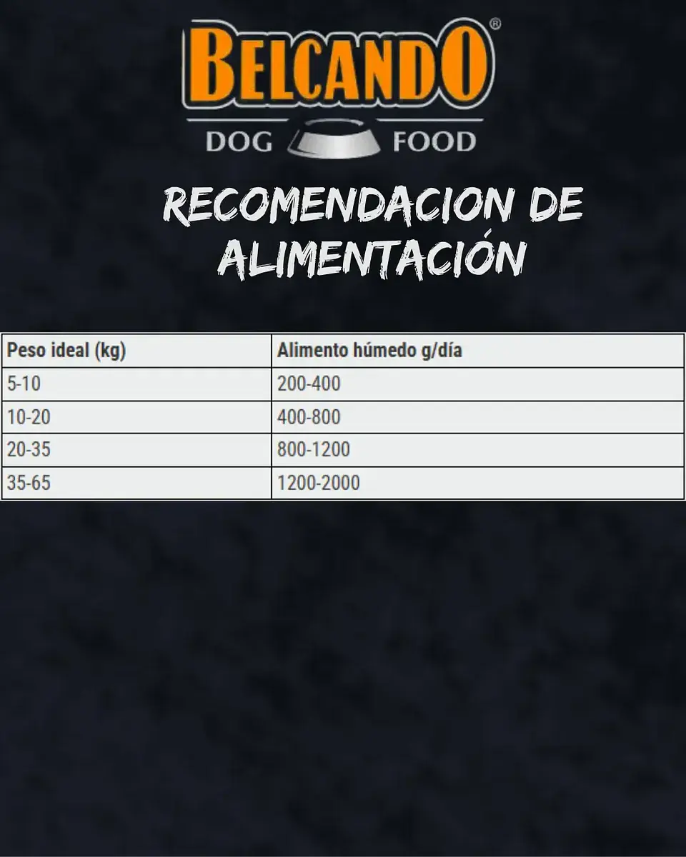 Belcando Lata Qs Alimento Humedo De caballo Para Perro 800 Gr 4