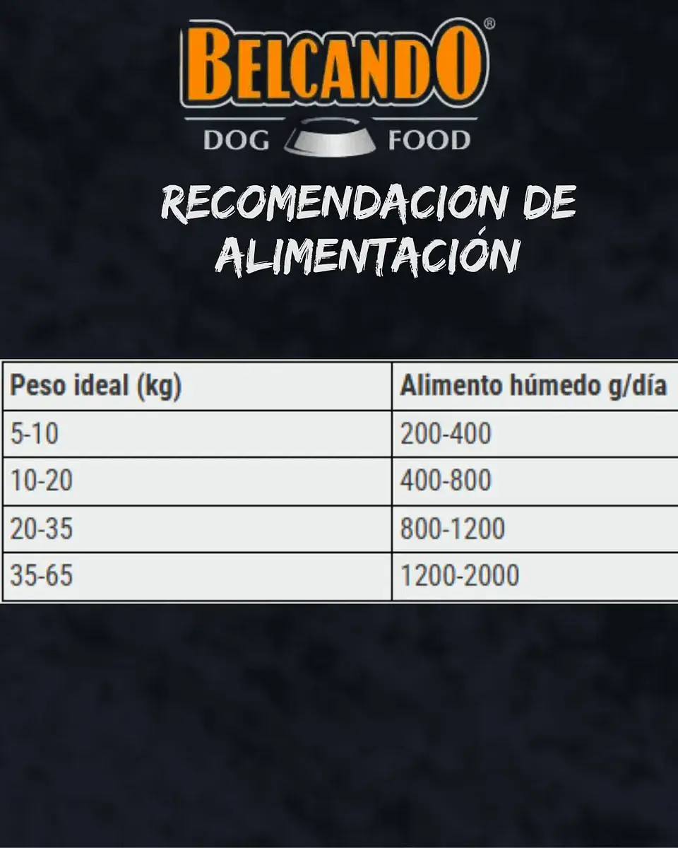 Belcando 3 Pack Alimento Humedo Para Perro Sabor Cordero 800 Gr 5