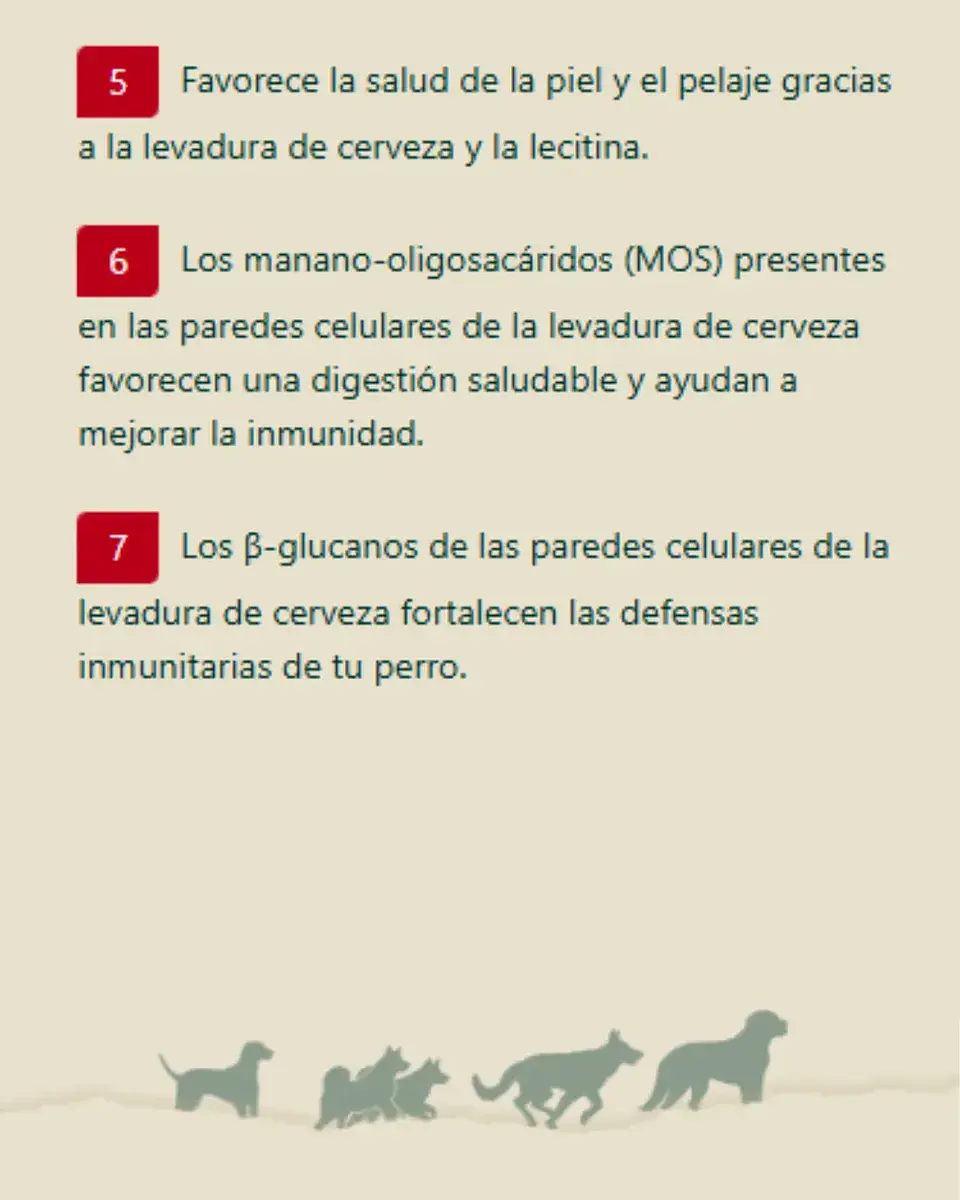 BEWIDOG Alimento Para Perros Cachorros 25 kg 4