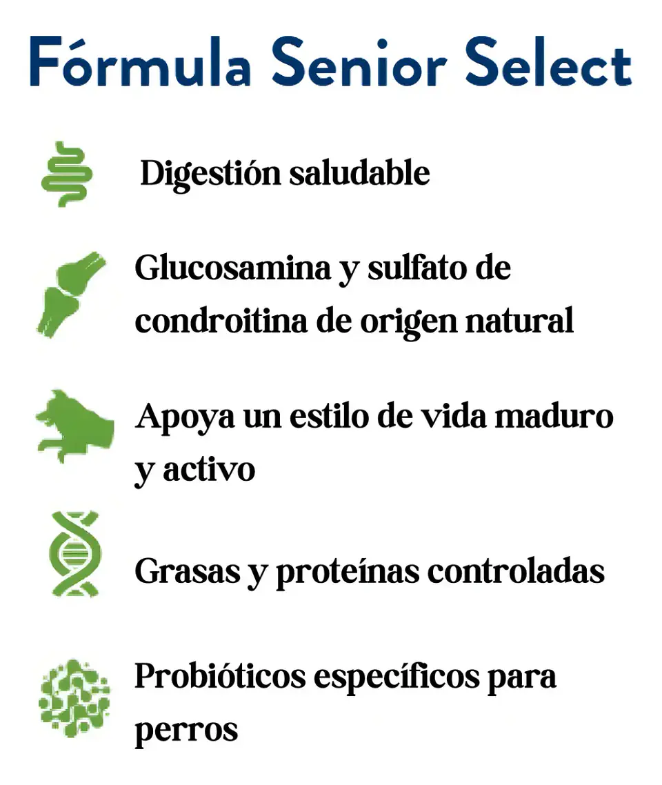 Bil-Jac Alimento Perro Senior 6.8 kg 3