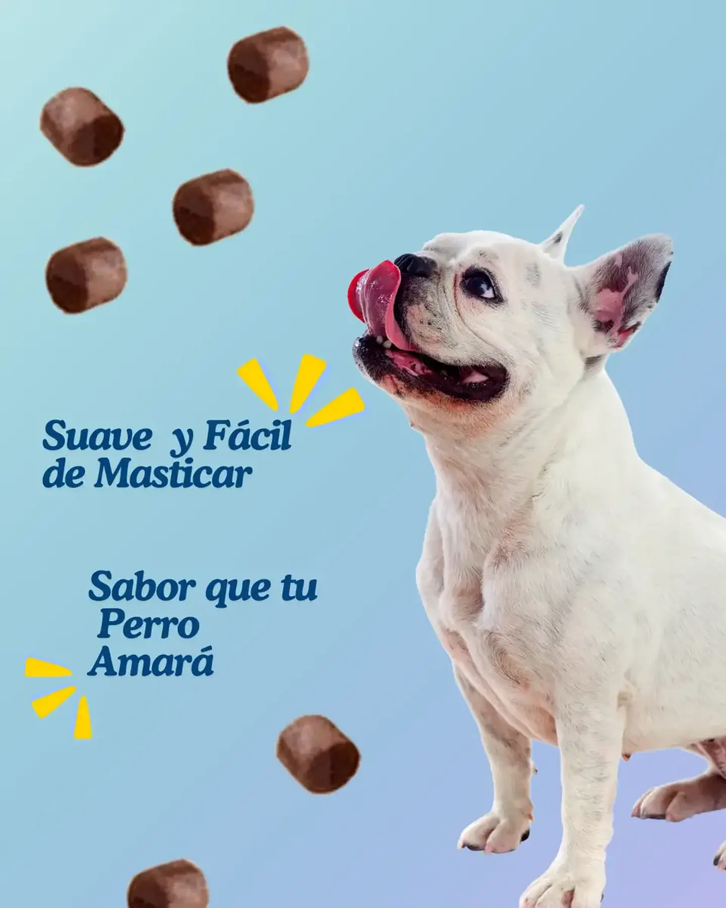 Bil-jac Snack Perros -283 Gr-libre De Granos-pollo Y Camote. 2