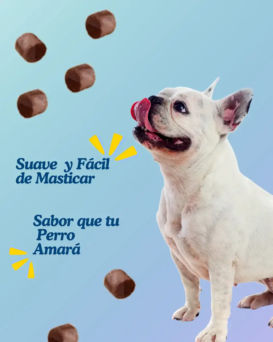 Bil-jac Snack Perros -283 Gr-libre De Granos-pollo Y Camote. 2