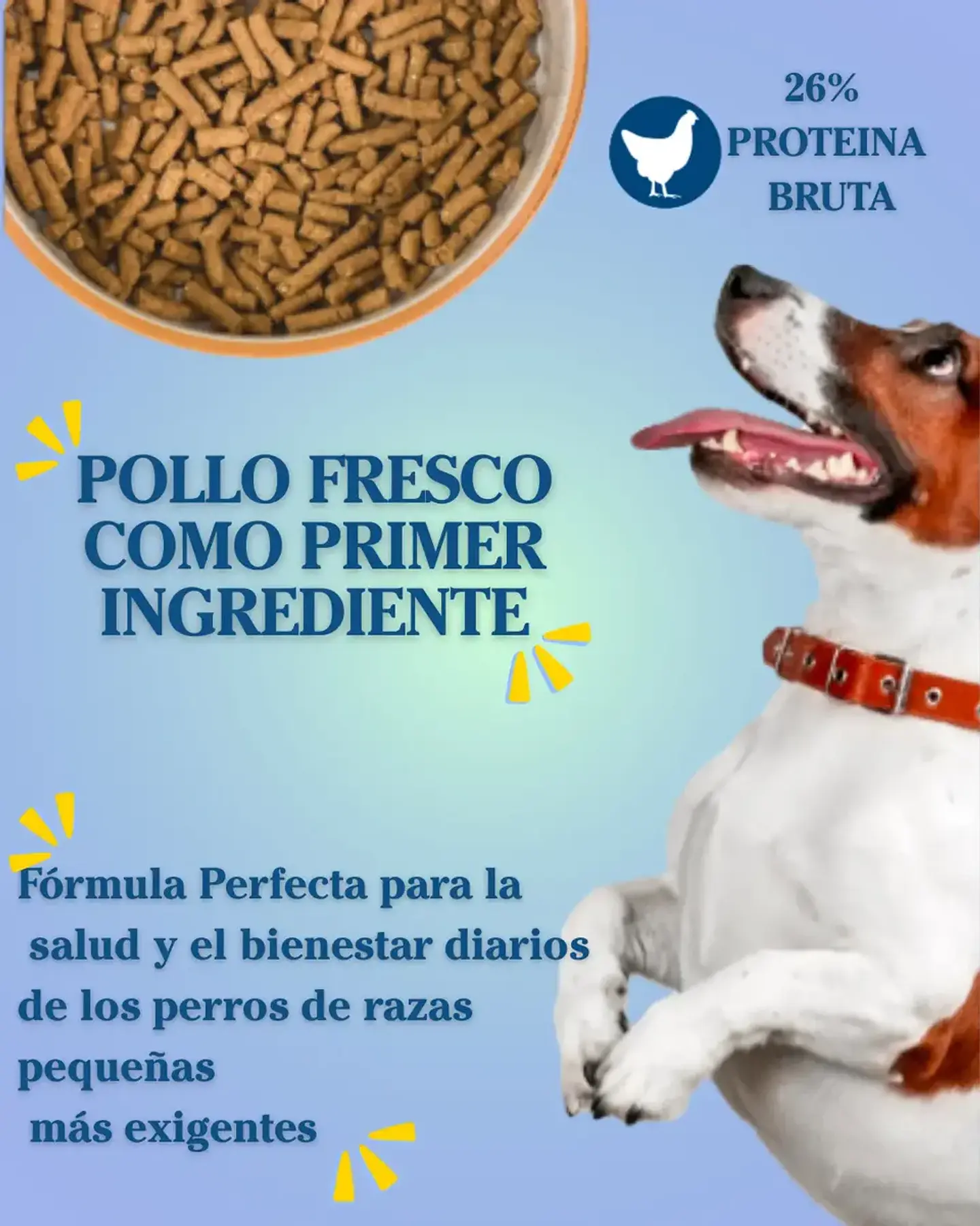 Bil-jac Picky No More Razas Pequeñas -2,7 Kg 4