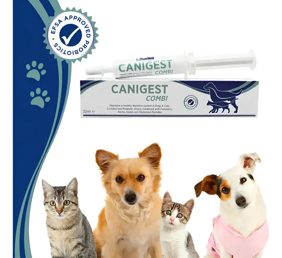 Canigest Combi - Suplemento Digestivo para Perros y Gatos 32 Ml 2