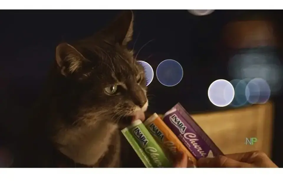 Churu Inaba Snack Cremoso Gourmet Húmedo para Gato Ciao Mix Atún Bolsa 20 Tubitos 2