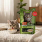 Fit Formula Drag Pharma Snack Puré Sabor Pollo Para Gatos 60 g Pack x5 - Miniatura 1