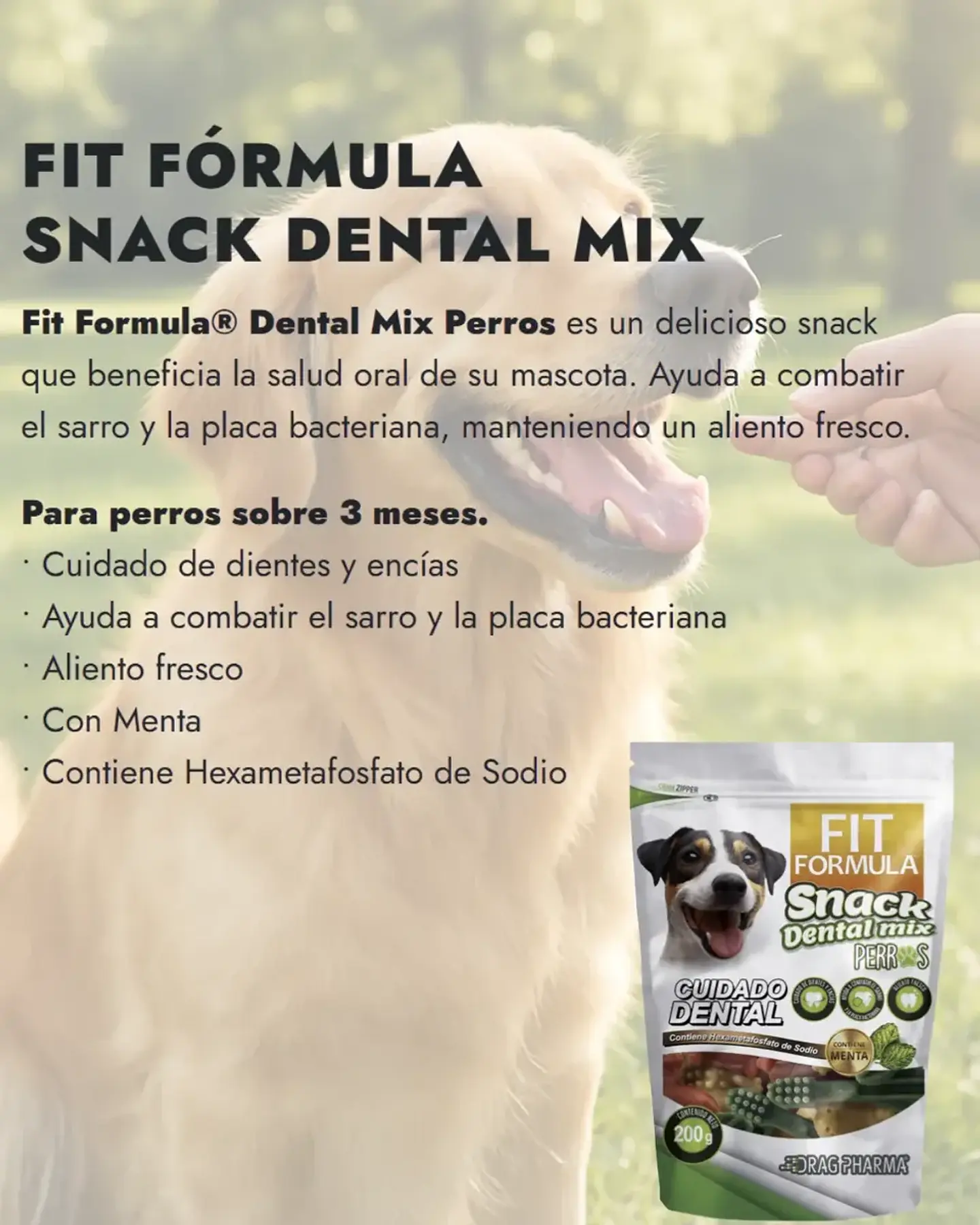 Fit Formula Snack Dental Perros - Sabor Mix- 200 Gr. 2