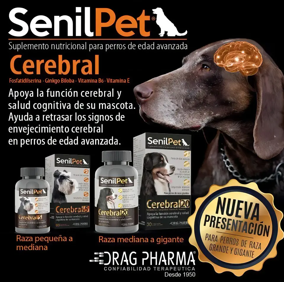 Senilpet Cerebral 20 * 30 comprimidos - Drag Pharma 2