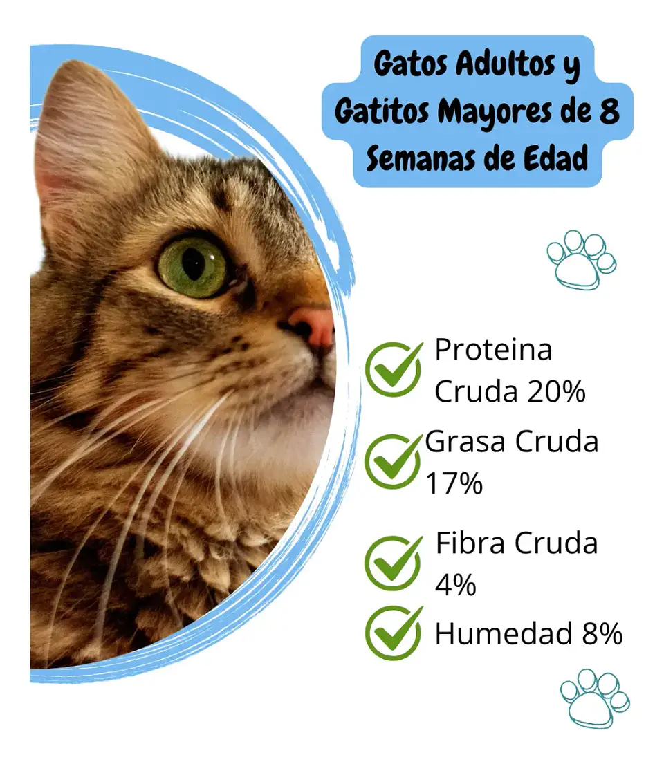 Fit Formula Snack Crunchy Gatos Atún/salmón 100 Gr (3 Uds) 3