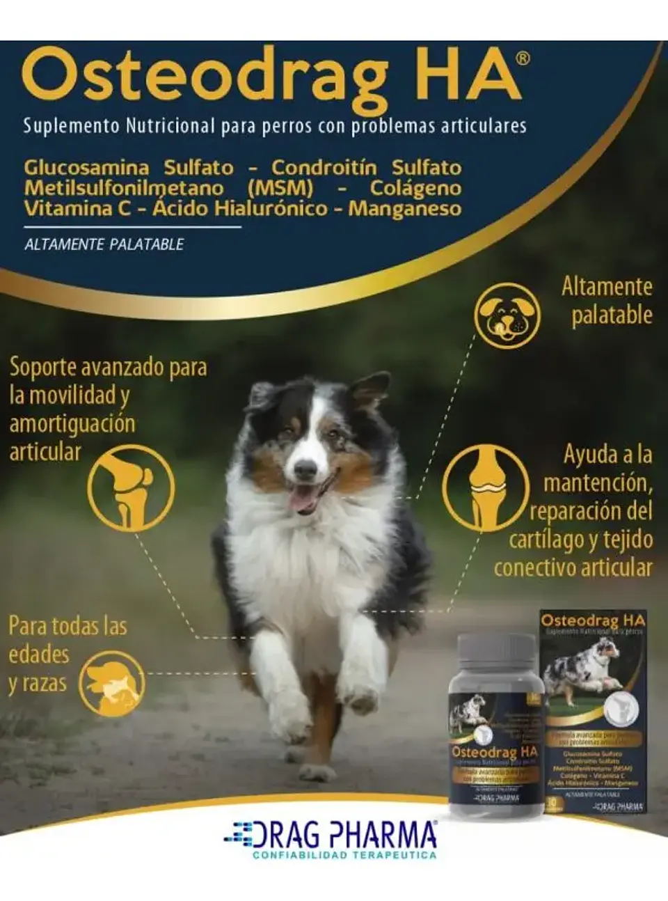 Osteodrag Ha Frasco 60 Comprimidos 250Gr - Drag Pharma 2
