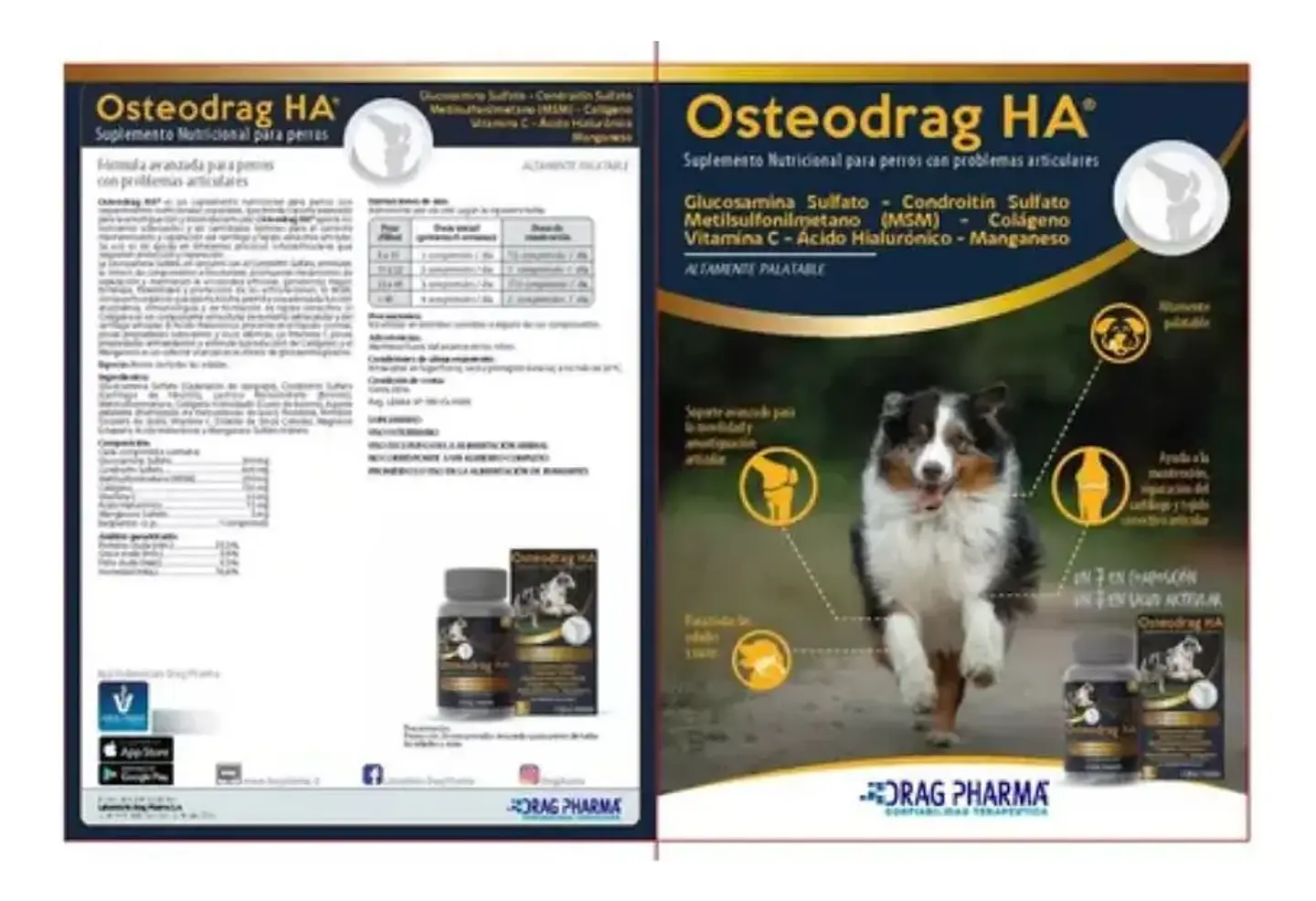 Osteodrag Ha Frasco 60 Comprimidos 250Gr - Drag Pharma 3