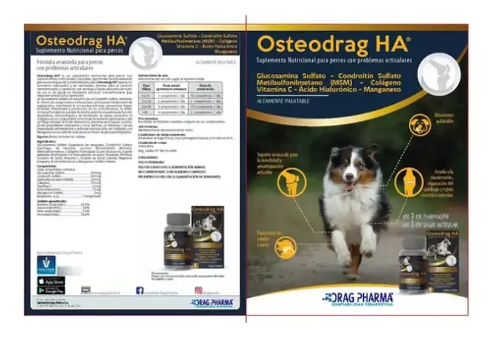 Osteodrag Ha Frasco 60 Comprimidos 250Gr - Drag Pharma 3