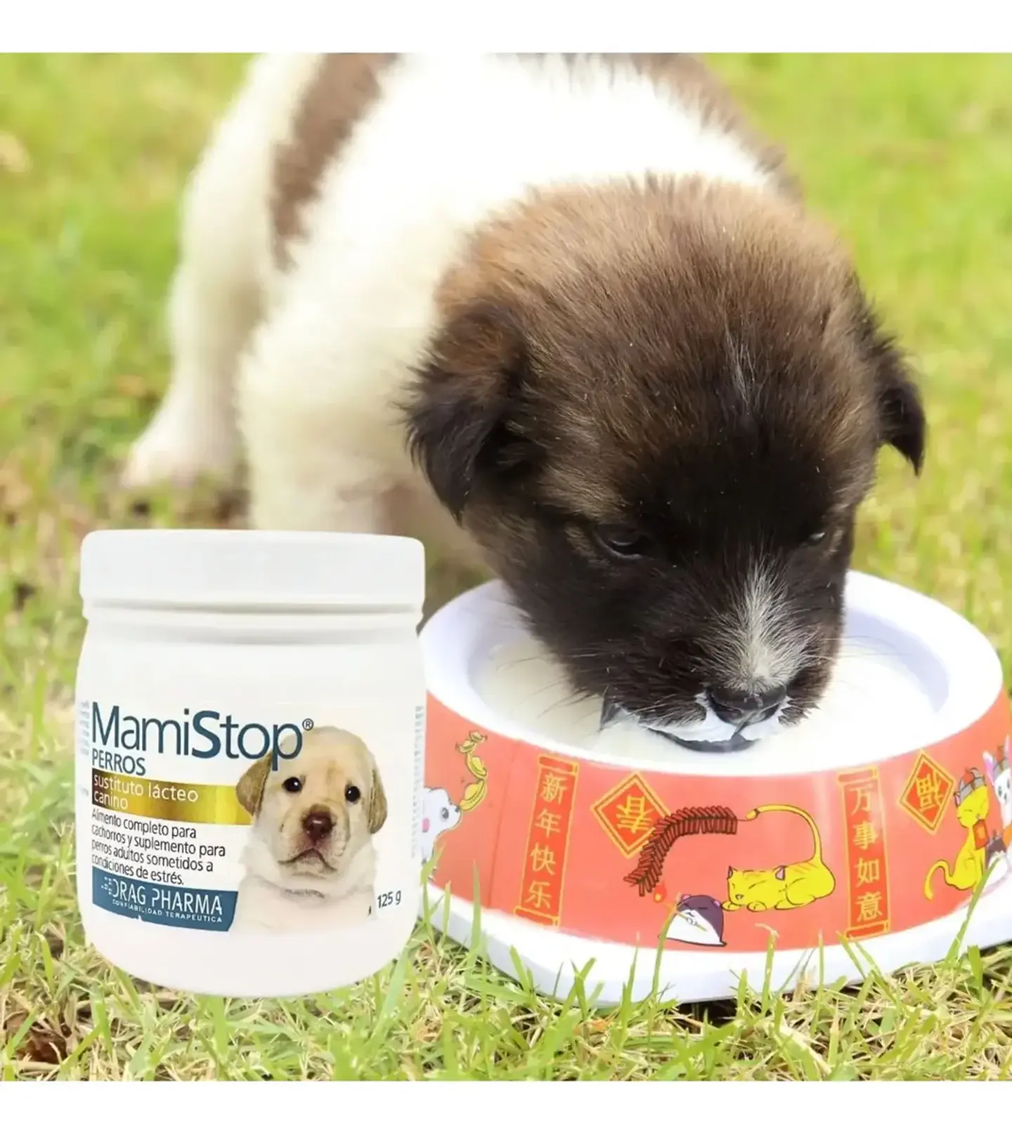 MamiStop Perros- Sustituto Lacteo - 125 Gr - Drag Pharma 2