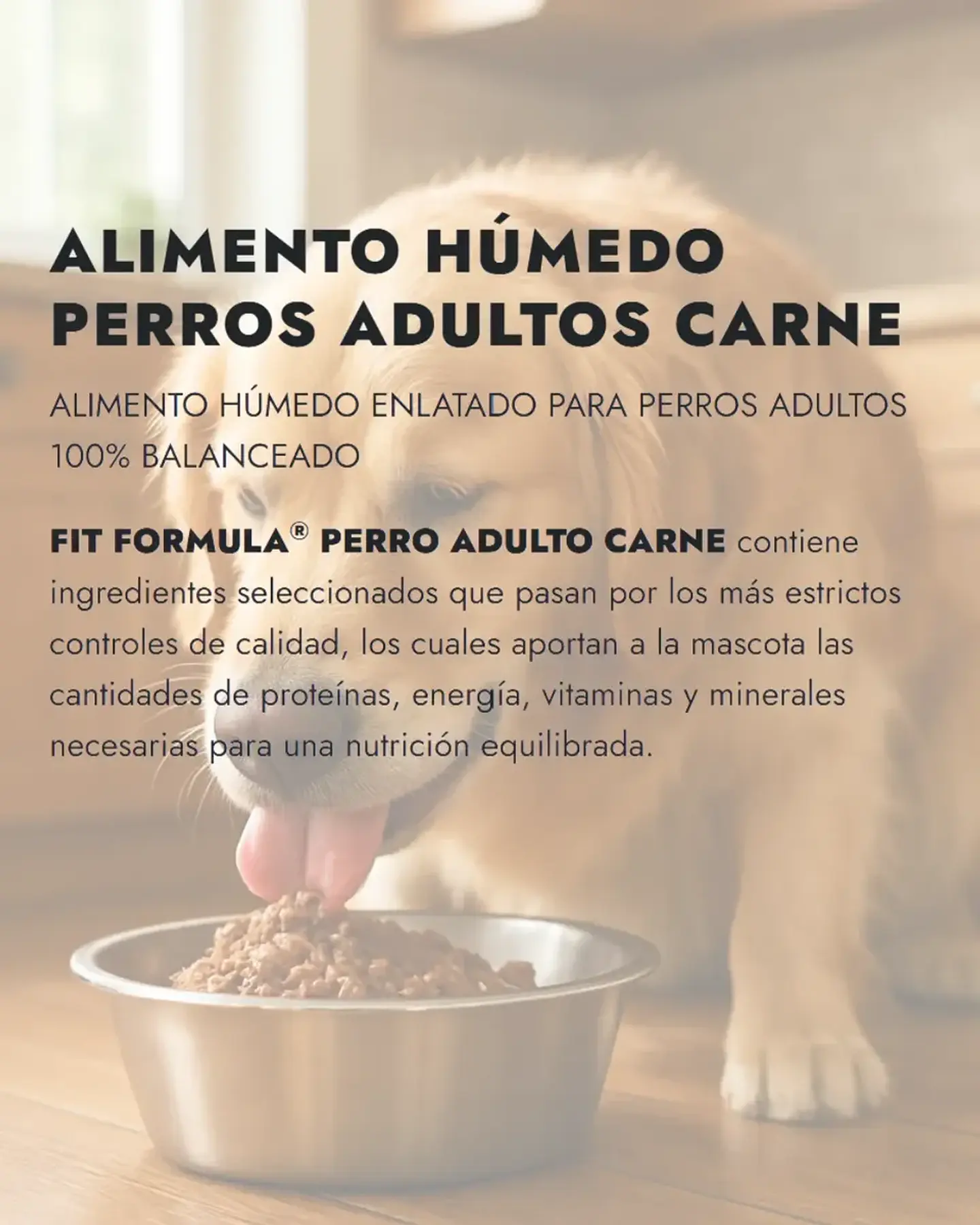 Fit Formula Alimento Húmedo Cachorro Sabor Carne 280g 2