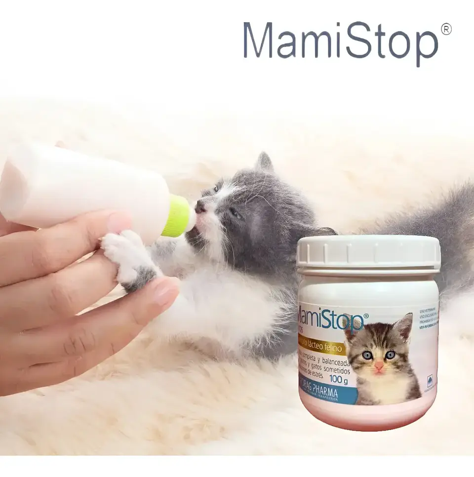 MamiStop Gatos - Sustituto Lácteo - 100 Gr - Drag Pharma 3