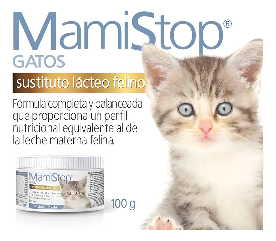 MamiStop Gatos - Sustituto Lácteo - 100 Gr - Drag Pharma 4