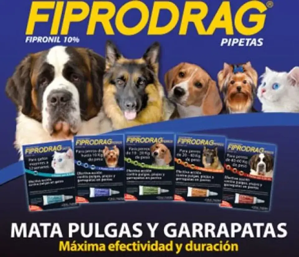 Fiprodrag Pipeta Antipulgas Y Garrapatas Perros Hasta 10 Kg Azul - Drag Pharma 2