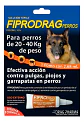 Fiprodrag Pipeta Perros 20-40 Kg 2.68 Ml Pulgas Garrapatas Piojos Azul - Drag Pharma - Miniatura 3