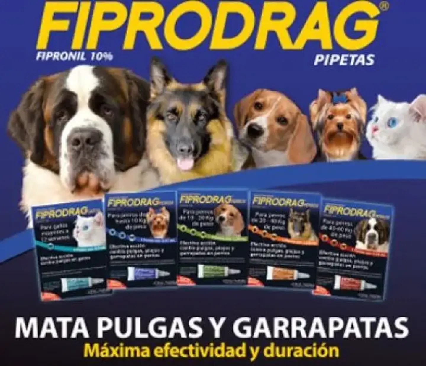 Fiprodrag Antiparasitario Externo Perro-de10-20 Kg-1.34 Ml - Drag Pharma 4