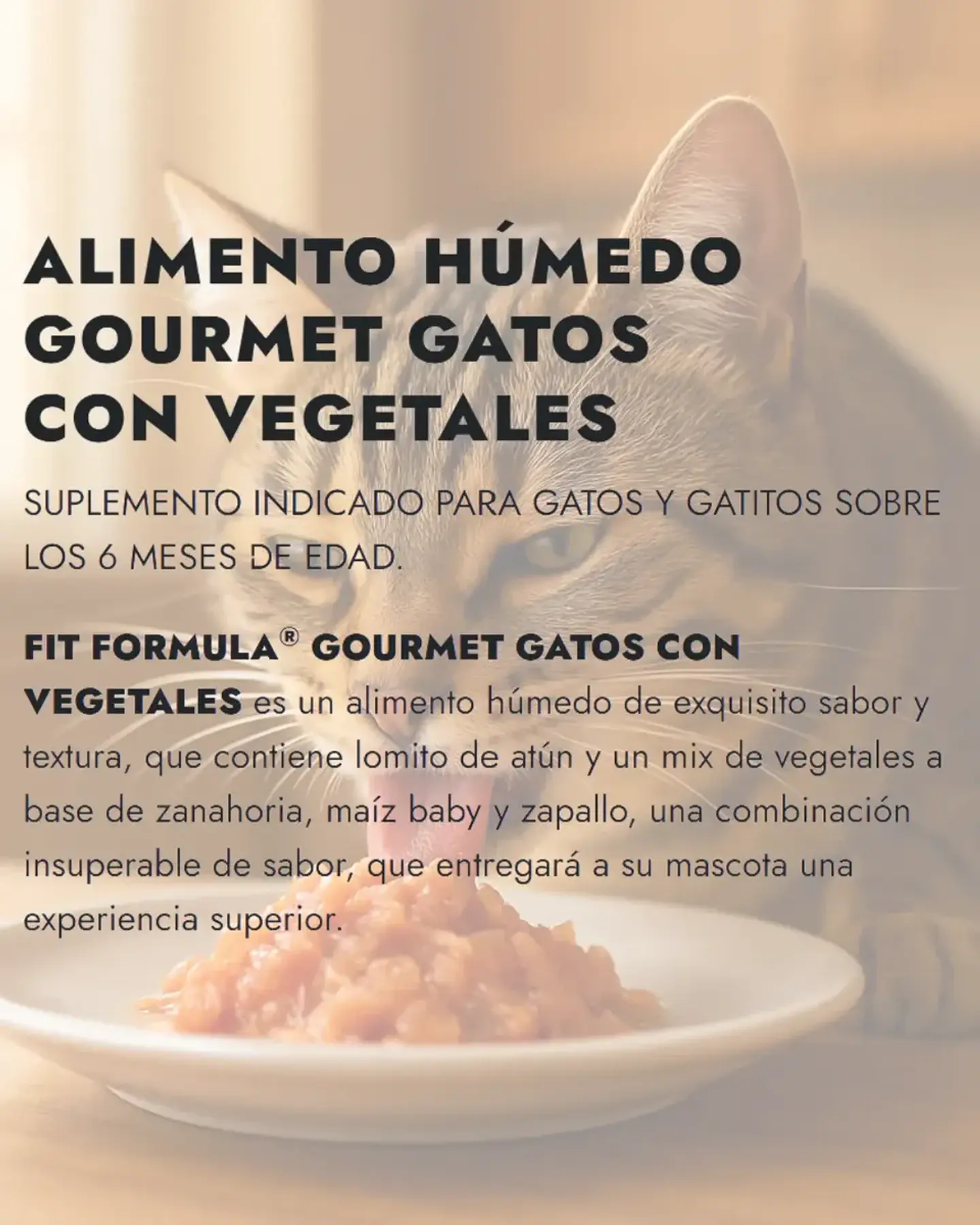 Fit Formula 3 Latas Gourmet Gato-atun Vegetales-80gr C/u 2