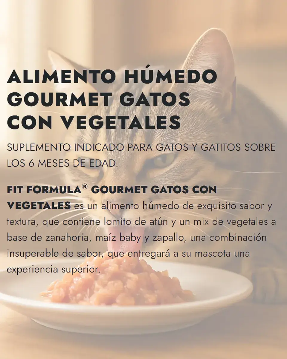 Fit Formula 3 Latas Gourmet Gato-atun Vegetales-80gr C/u 2