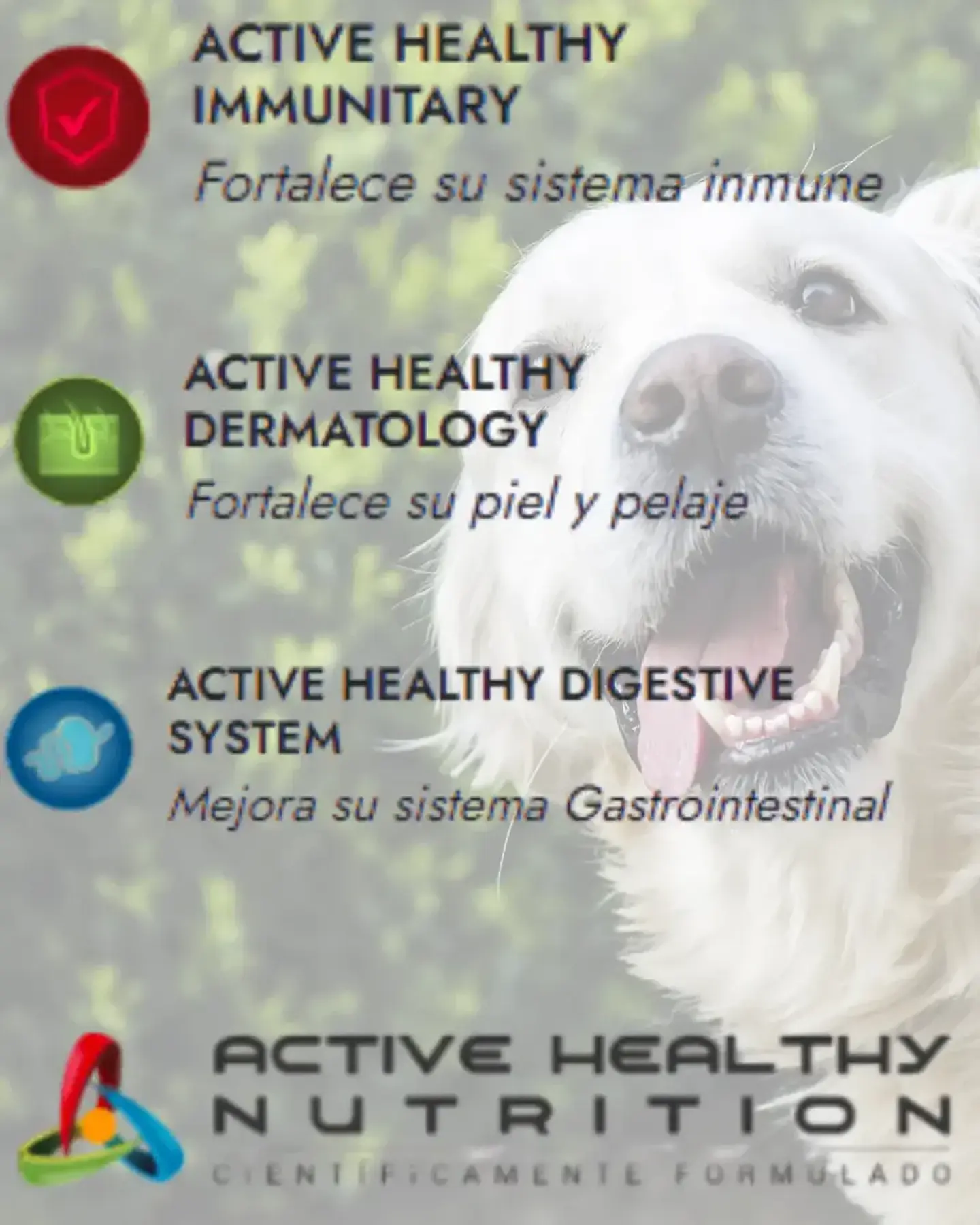 Fit Formula Alimento Completo Perro - 20 Kg- 27% Proteína 2