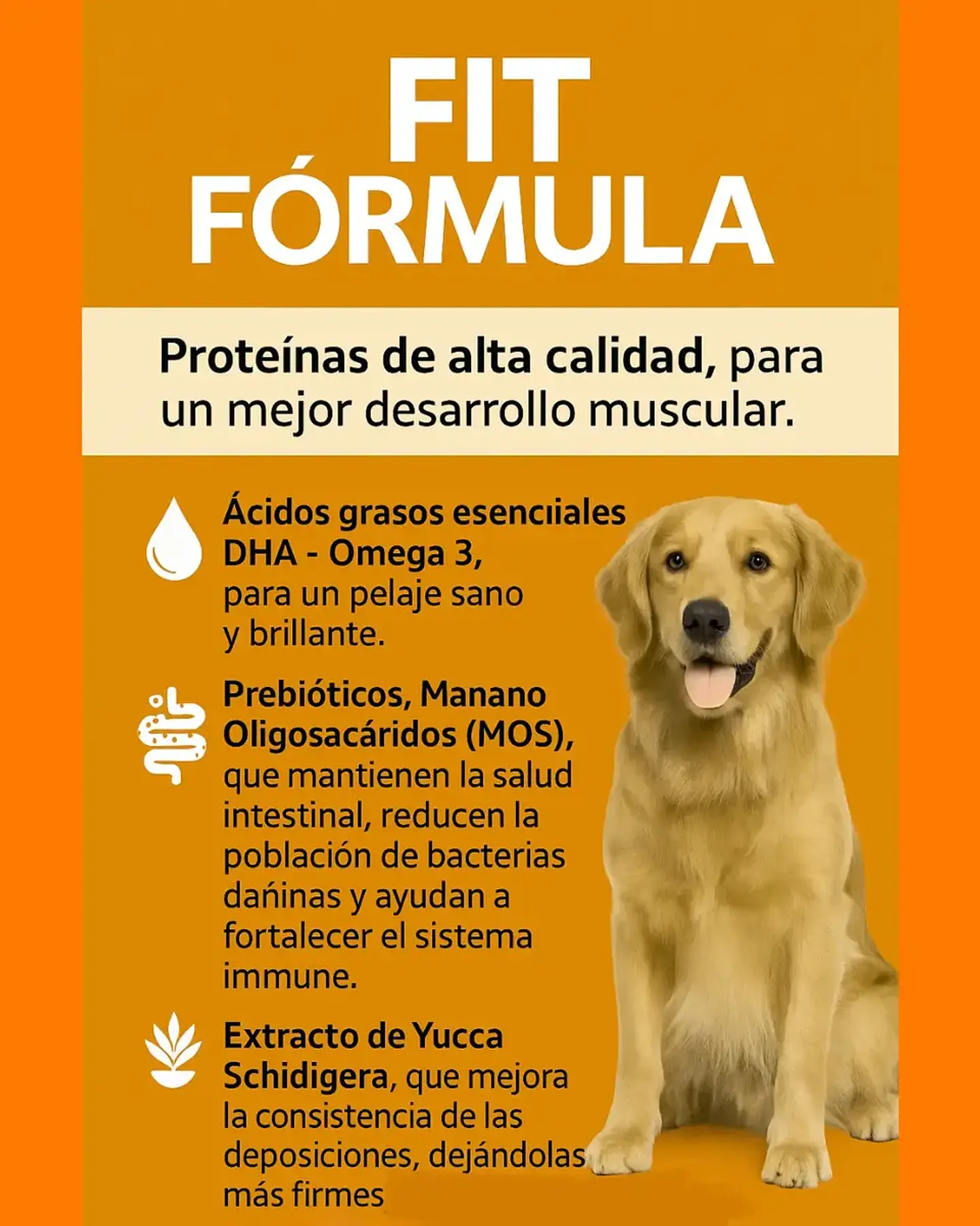 Fit Formula Alimento Completo Perro - 20 Kg- 27% Proteína 3