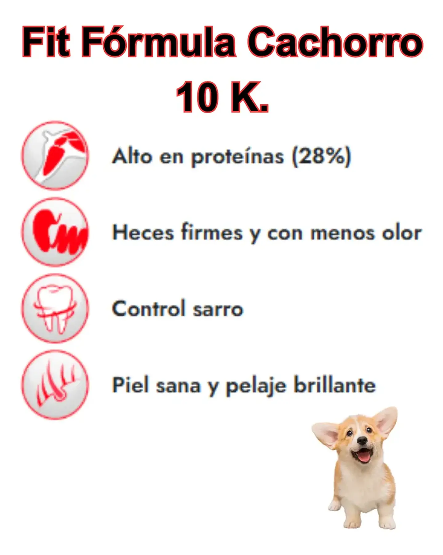 Fit Formula Alimento Perro Cachorro-20 Kg + Pala Medidora 3