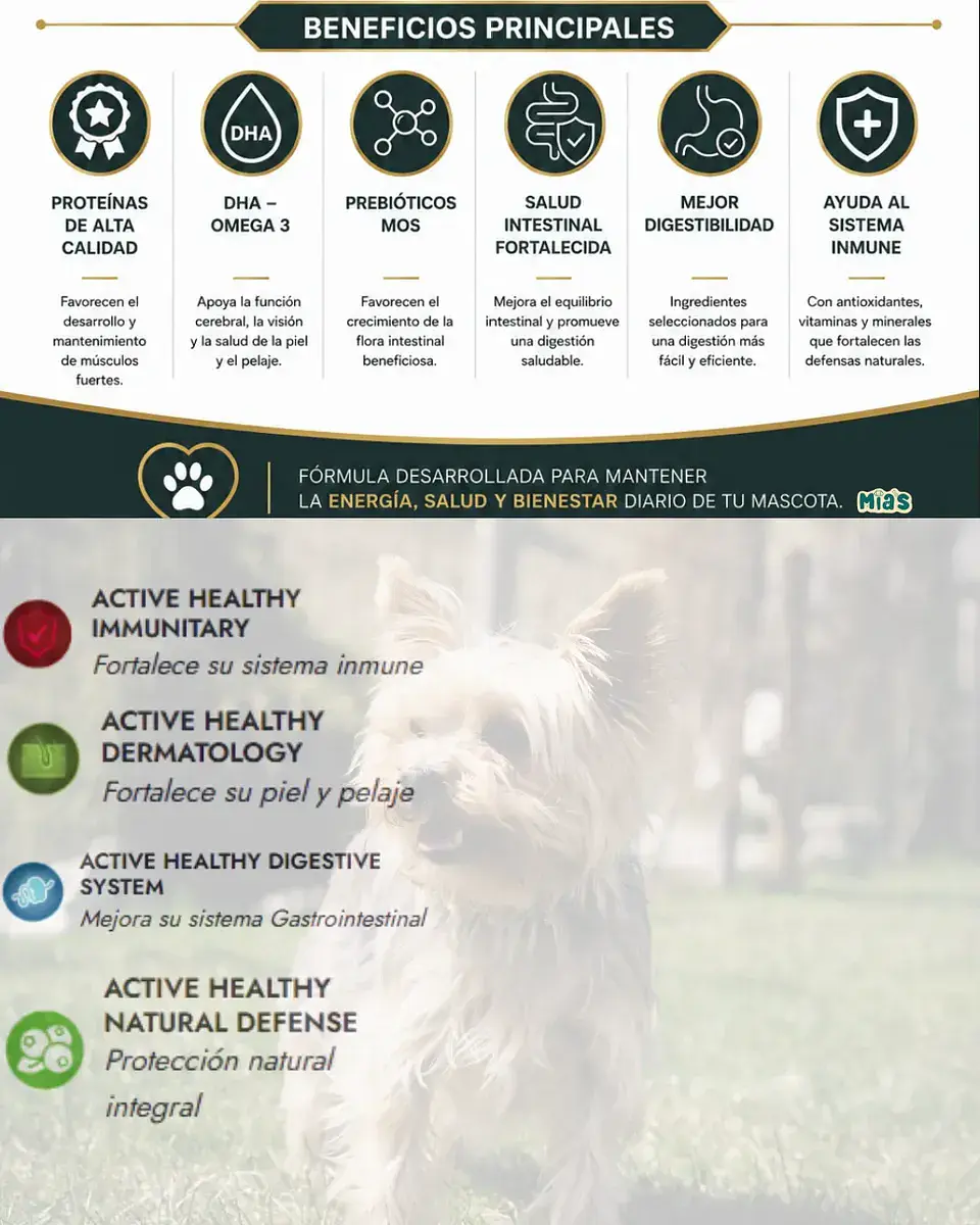 Fit Formula Perro Razas Peq 10 Kg +pala Dosif. (solo Stgo) 3