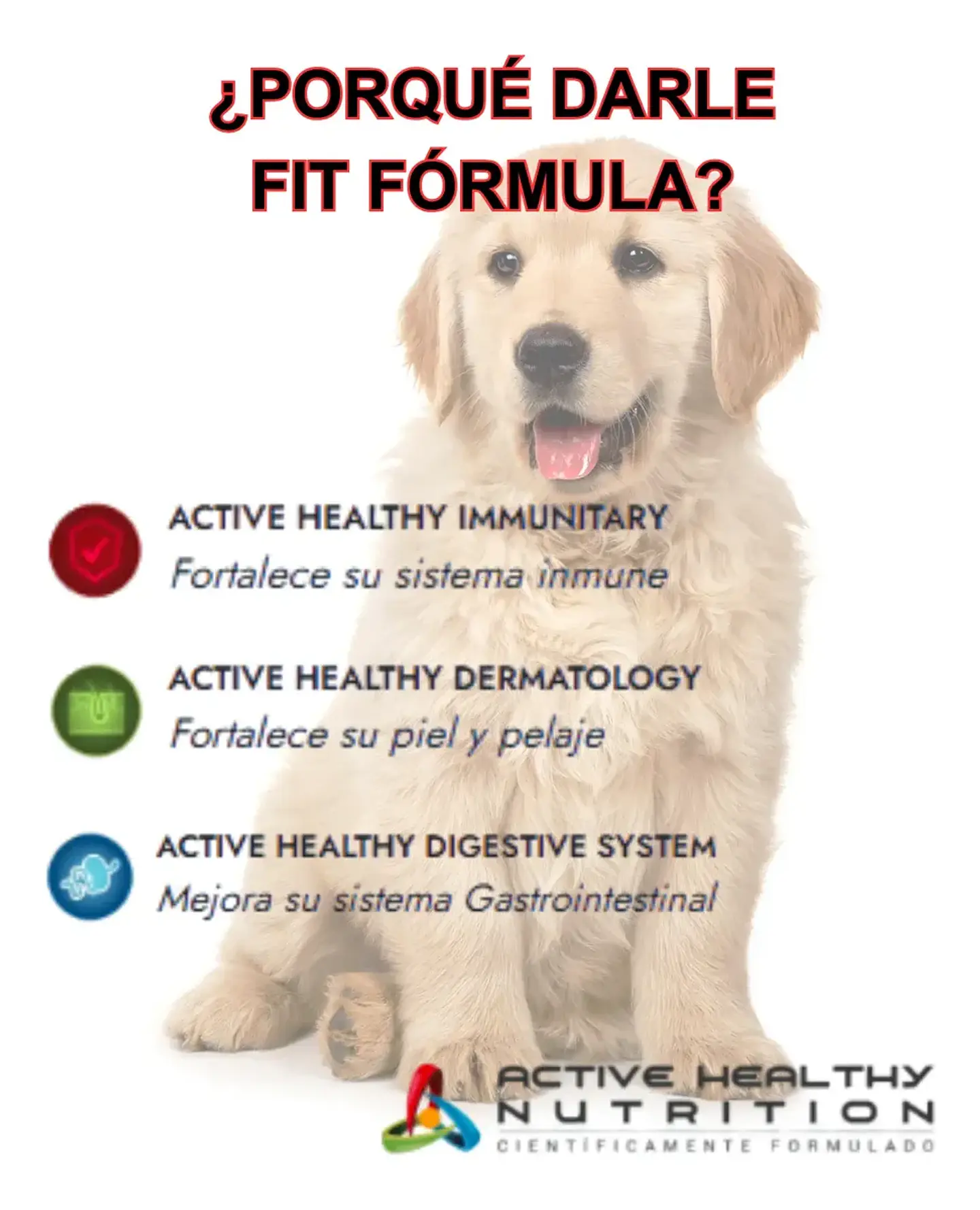 Fit Formula Alimento Perro Cachorro-20 Kg + Pala Medidora 5