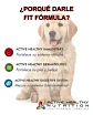 Fit Formula Alimento Cachorro 10 Kg+pala Dosif. (solo Stgo) - Miniatura 6
