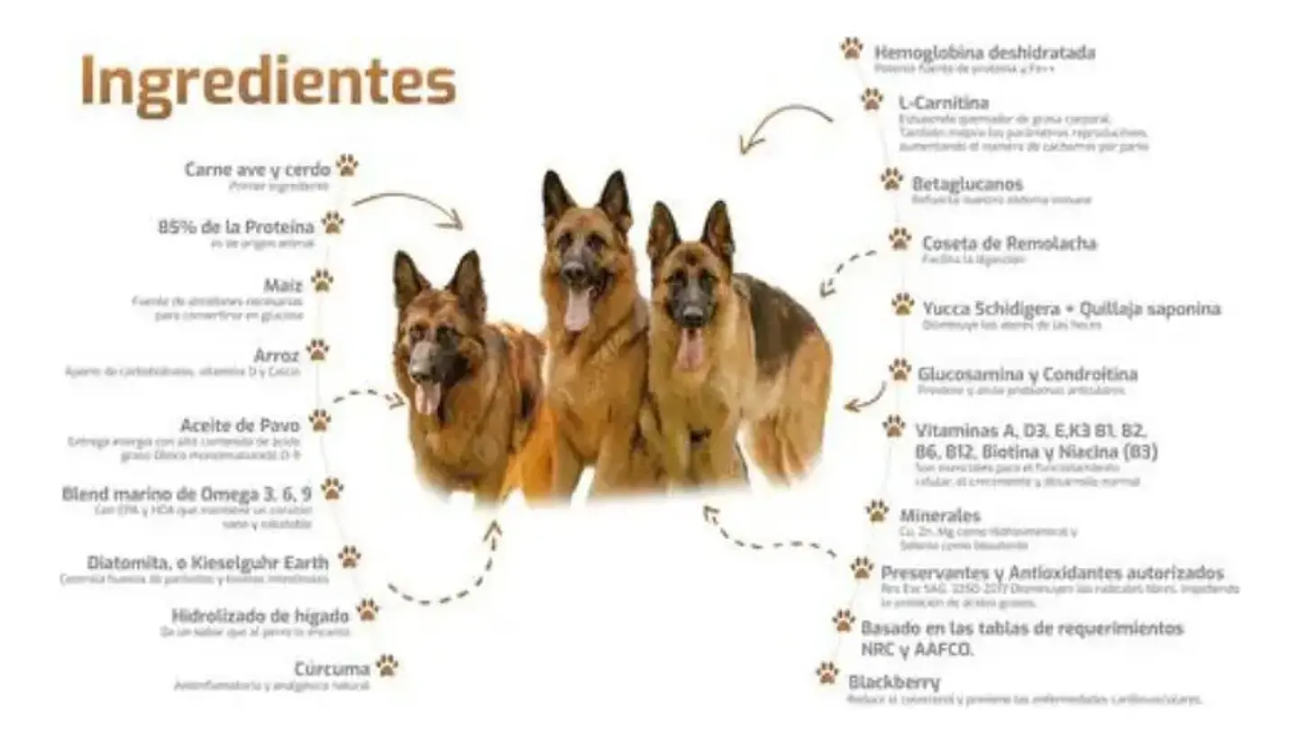 Bokato Gold Alimento Seco Perro Adulto 20kg Proteína Animal 85% 3