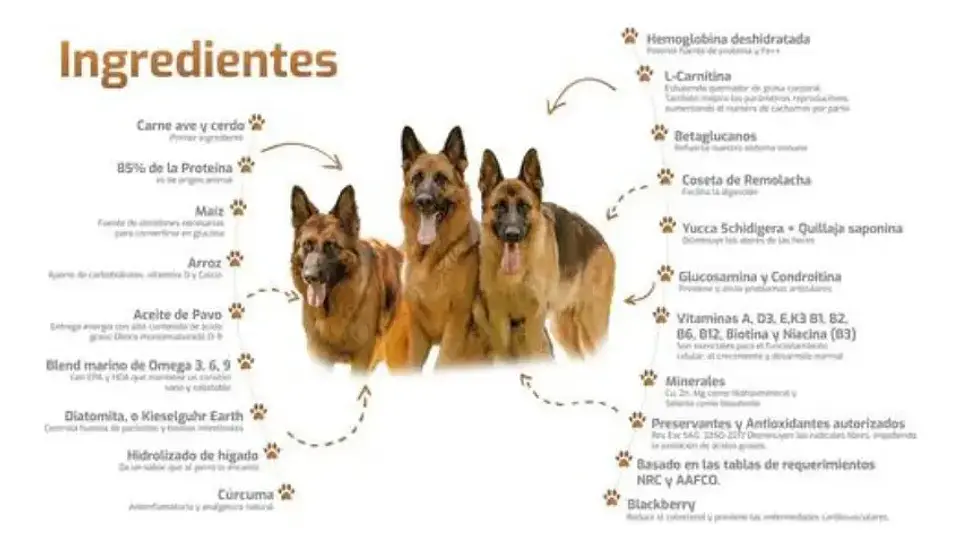 Bokato Gold Alimento Seco Perro Adulto 20kg Proteína Animal 85% 3