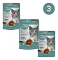 Gerolamo Pack 3 Sopa De Pato-gatos-80 Gr C/u-sup. Alimenticio - Miniatura 1
