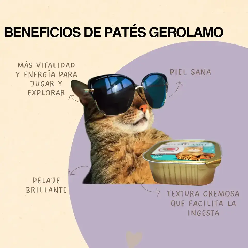 Gerolamo 3 Pack-alimento Pate Carne-gato Adulto-300 Gr C/u 5