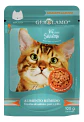 Gerolamo Pouch Gato-salmón Pato Pollo- 100gr-alimento Humedo - Miniatura 1