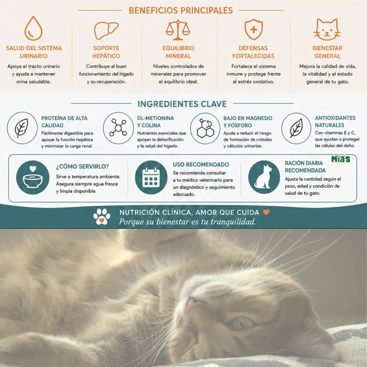 Gerolamo Lata Urinario Hepatico-gato 315 Gr 3