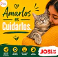 Josera Josicat Crunchy Chicken 650 Gr-Gato - Miniatura 4