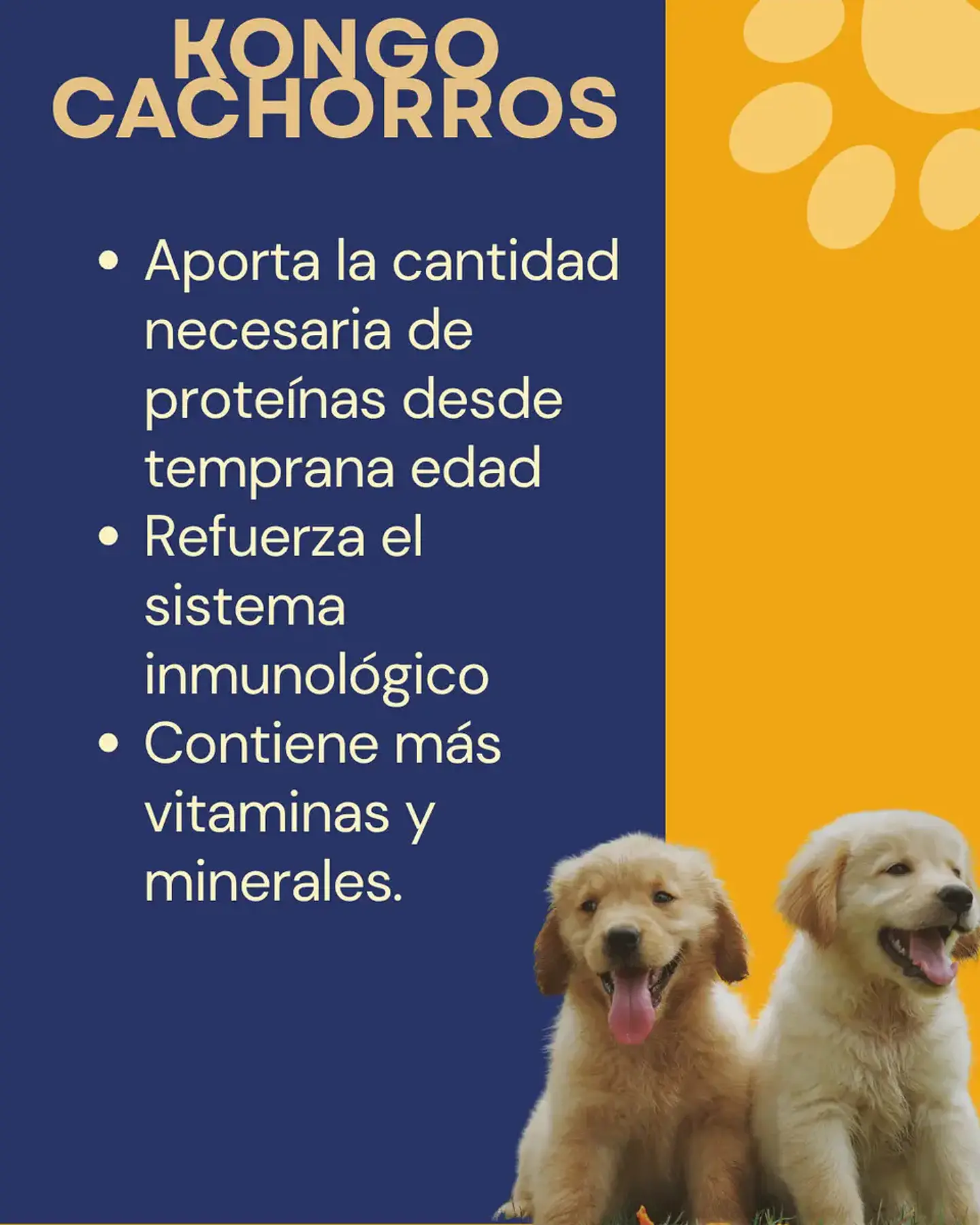Kongo Alimento Cachorro Perro Todas Las Razas Carne/pollo 15 Kg 2