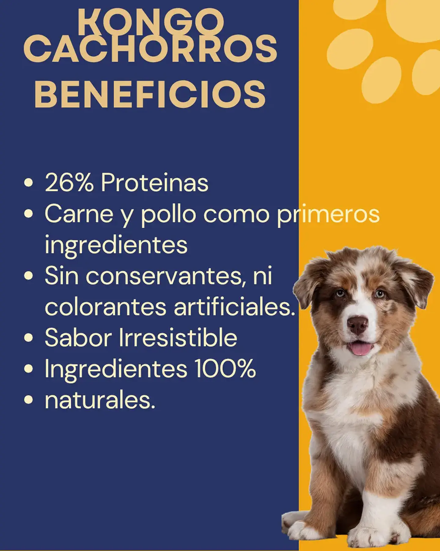 Kongo Alimento Cachorro Perro Todas Las Razas Carne/pollo 15 Kg 3