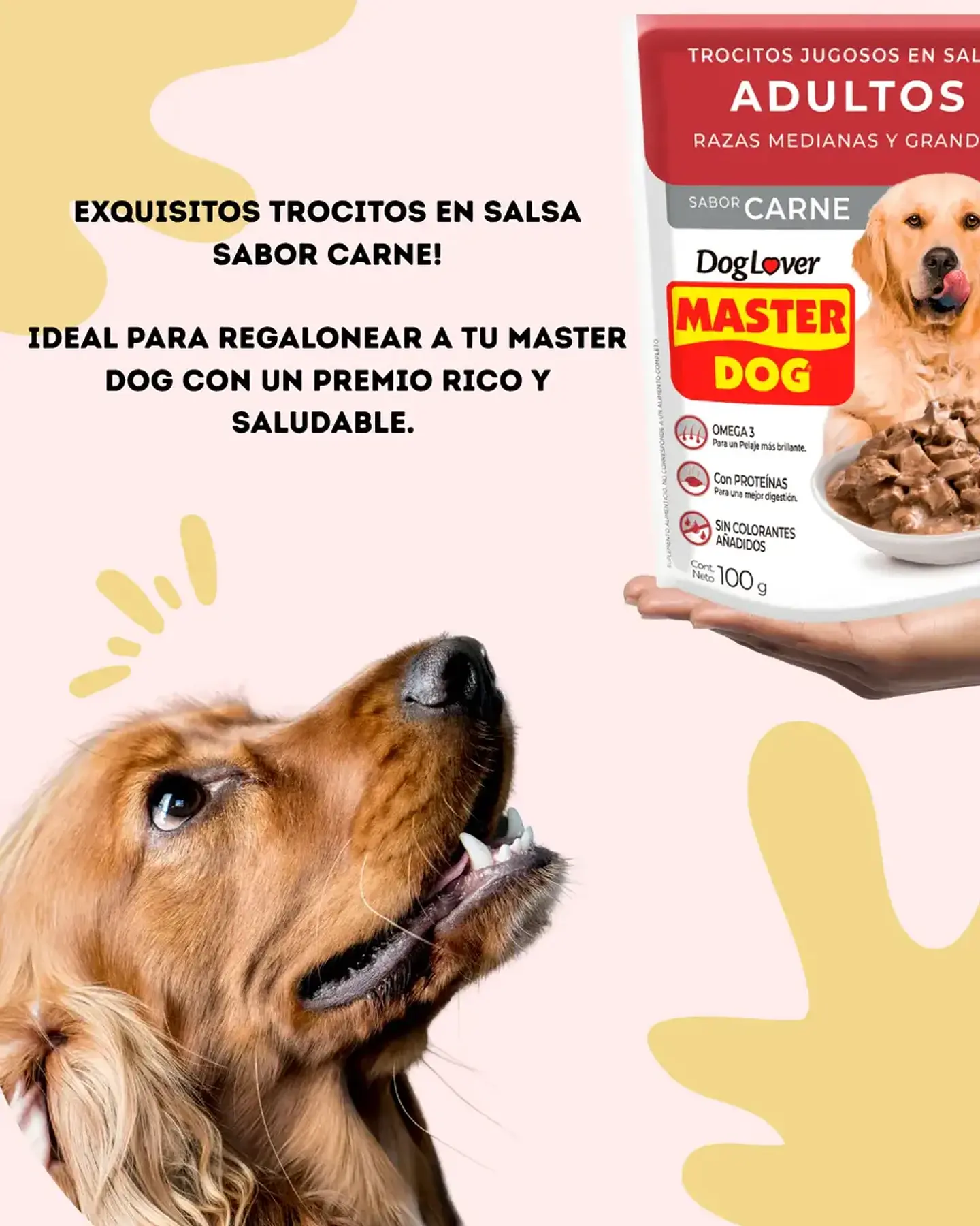 Master Dog 10 Sachets Alimento Humado -perro Adulto- Carne 10.55 Kg 2