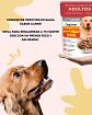 Master Dog 10 Sachets Alimento Humado -perro Adulto- Carne 10.55 Kg - Miniatura 2