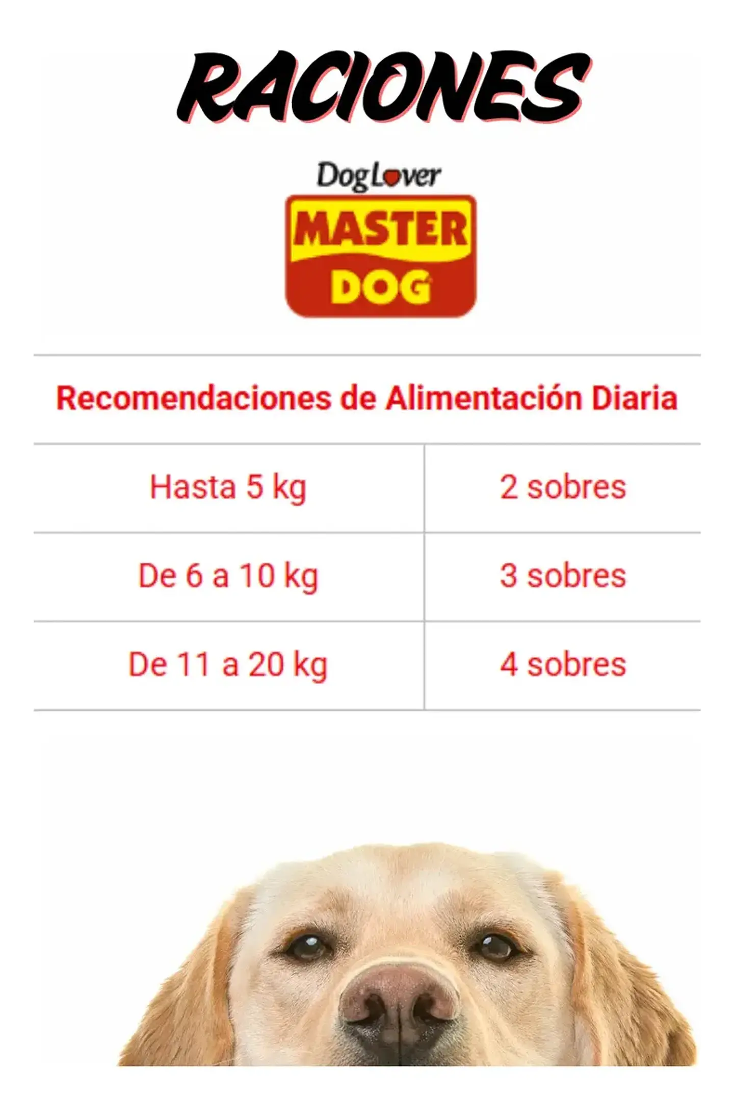 Master Dog 10 Sachets Alimento Humado -perro Adulto- Carne 10.55 Kg 4