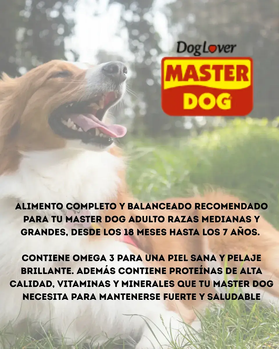 Master Dog Alimento- Adulto - Sabor Carne - 19,5 Kg 3