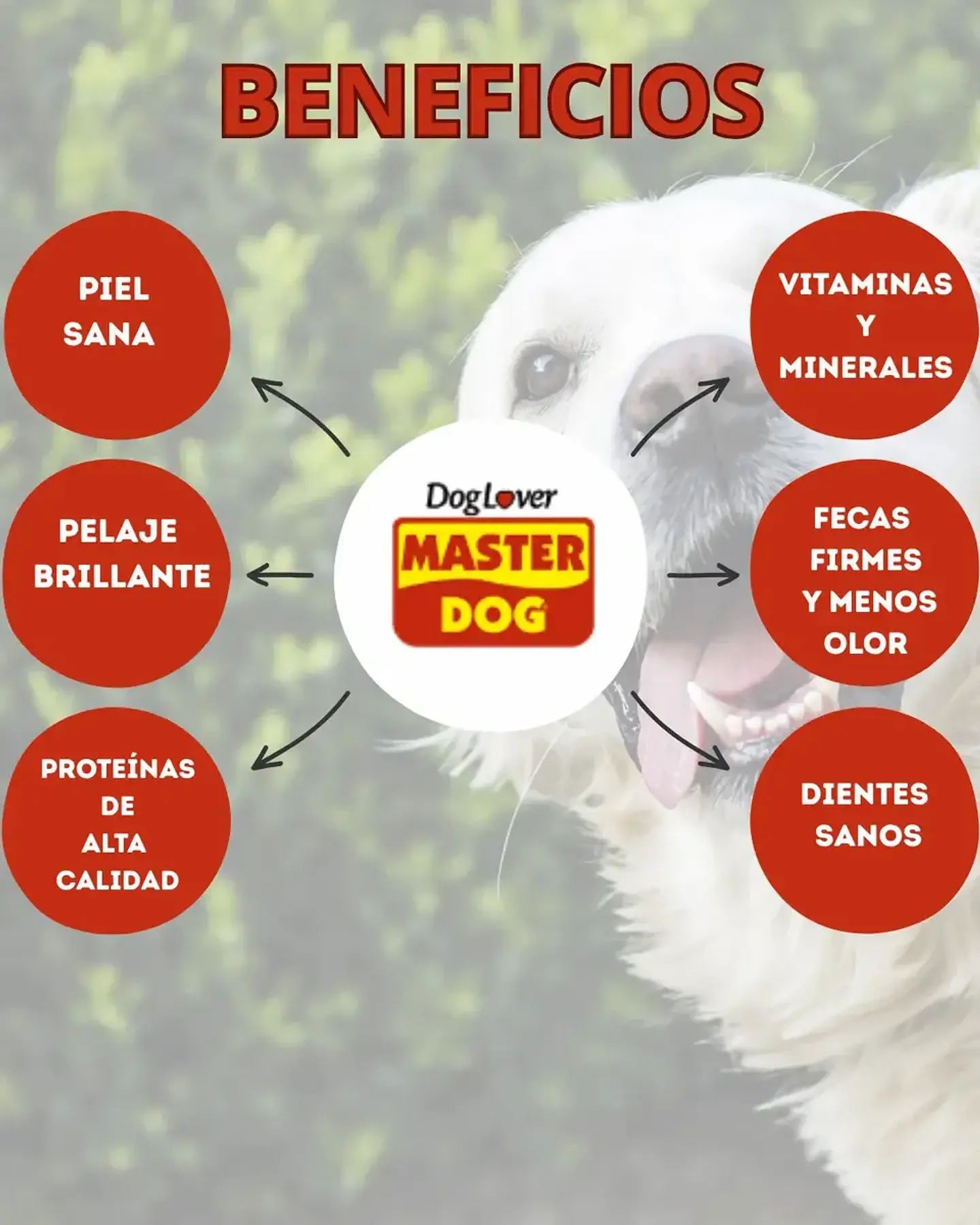 Master Dog Alimento- Adulto - Sabor Carne - 19,5 Kg 4